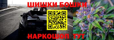 индика Нальчик