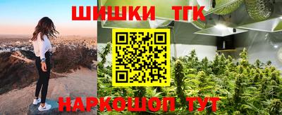 индика Нальчик