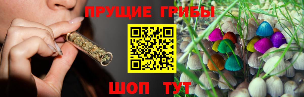 Галлюциногенные грибы мицелий  Вход с VPN  Сокол  Галлюциногенные грибы MAGIC MUSHROOMS 